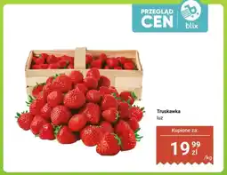 Dino Truskawka luz oferta