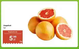 Dino Grapefruit luz oferta