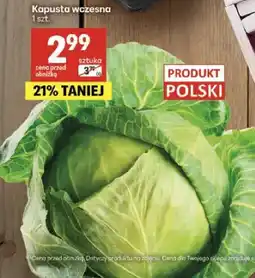 Delikatesy Centrum Kapusta wczesna polska oferta
