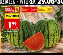 Biedronka Arbuz na wagę oferta
