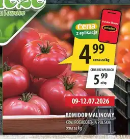 Arhelan Pomidor malinowy oferta