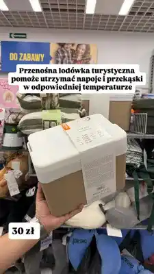 Pepco Przenośna lodówka turystyczna Pepco Cool Box oferta