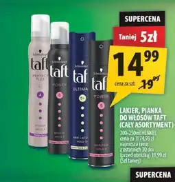 Arhelan Lakier pianka do włosów Taft oferta