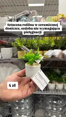 Pepco Sztuczna roślina w ceramicznej doniczce oferta