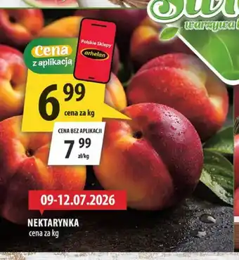 Nektarynka