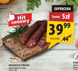 Arhelan Kiełbasa ze strychu Pelikan oferta