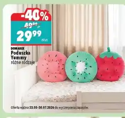 Biedronka Poduszka Domarex oferta