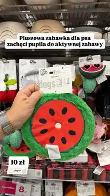Pepco Pluszowa zabawka dla psa arbuz For Pets oferta