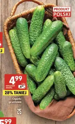 Delikatesy Centrum Ogórki gruntowe polskie oferta