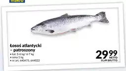 Makro Łosoś atlantycki patroszony oferta