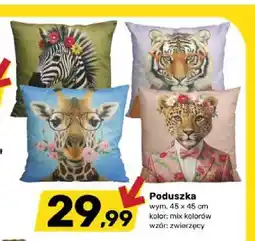 Bricomarche Poduszka 45x45 cm oferta