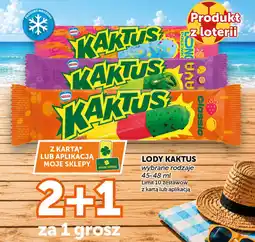 Groszek Lody kaktus oferta