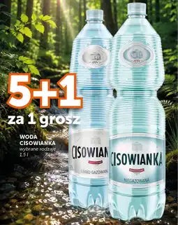 Groszek Woda cisowianka oferta