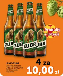 Groszek Piwo żubr oferta