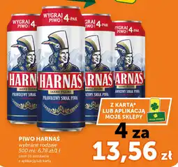 Groszek Piwo harnaś oferta