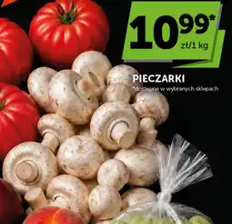 Groszek Pieczarki oferta