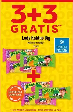 Polomarket Lody Kaktus Big oferta