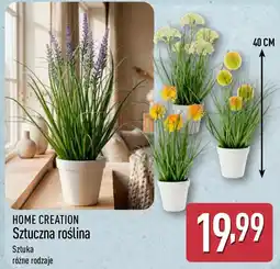 ALDI HOME CREATION Sztuczna roślina oferta
