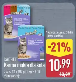 ALDI CACHET Karma mokra dla kota oferta