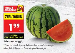 Biedronka Arbuz Bio oferta