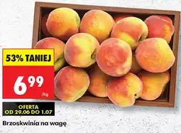 Biedronka Brzoskwinia oferta