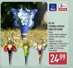 ALDI Lampka solarna Belavi oferta