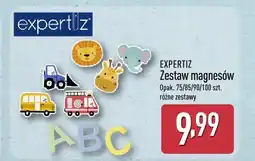 ALDI Zestaw magnesów Expertiz oferta