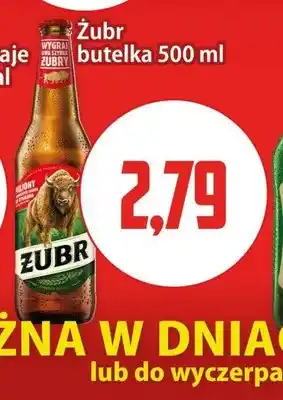 Kupiec Piwo Żubr oferta