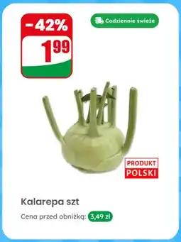 Dino Kalarepa polska oferta