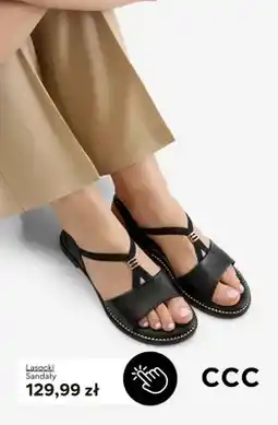 CCC Sandały Lasocki oferta
