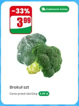 Dino Brokuł oferta