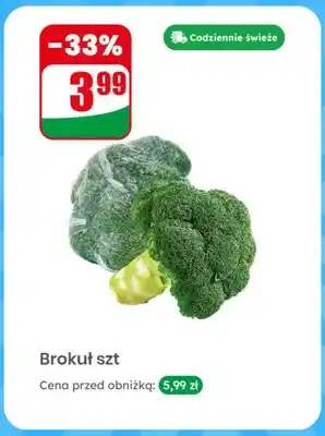 Dino Brokuł oferta