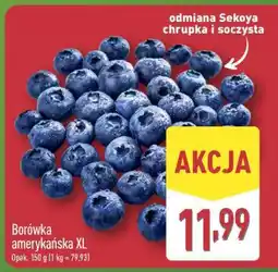 ALDI Borówka amerykańska XL oferta