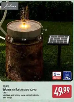ALDI BELAVI oferta