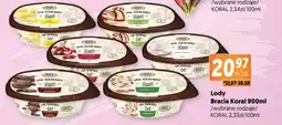 Jubilat Lody Bracia Koral oferta