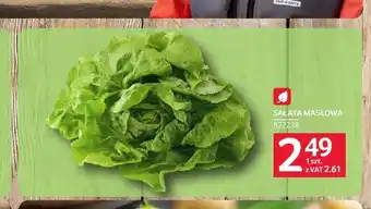 Selgros Sałata masłowa oferta