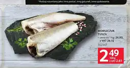 Selgros Morszczuk tusza oferta