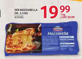 Selgros Ser Mozzarella Hochland Professional oferta