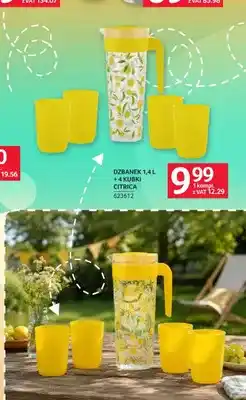 Selgros Zestaw dzbanek + 4 kubki Citrica oferta