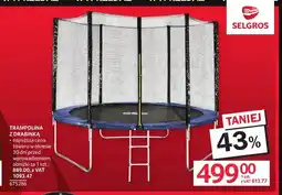 Selgros Trampolina z drabinką oferta