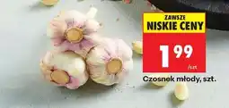 Biedronka Czosnek młody szt oferta