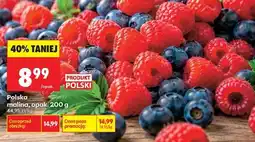 Biedronka Polska malina, opak. 200 g oferta