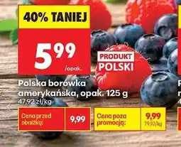 Biedronka Polska borówka amerykańska, opak. 125 g oferta