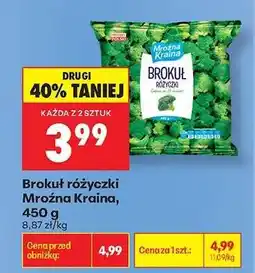 Biedronka Brokuł różyczki Mroźna Kraina, 450 g oferta