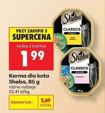 Biedronka Karma dla kota Sheba, 85 g oferta