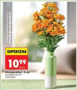 Biedronka Margaretka 5 szt oferta