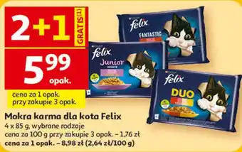Mokra karma dla kota Felix