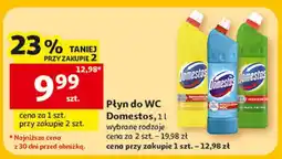 Auchan Domestos Płyn do WC oferta