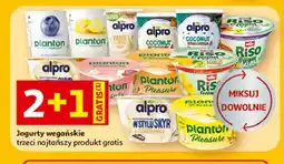 Auchan Deser truskawkowy Planton Pleasure oferta