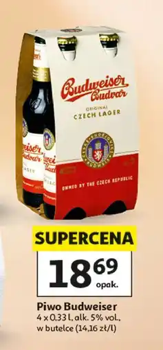 Auchan Piwo Budweiser oferta